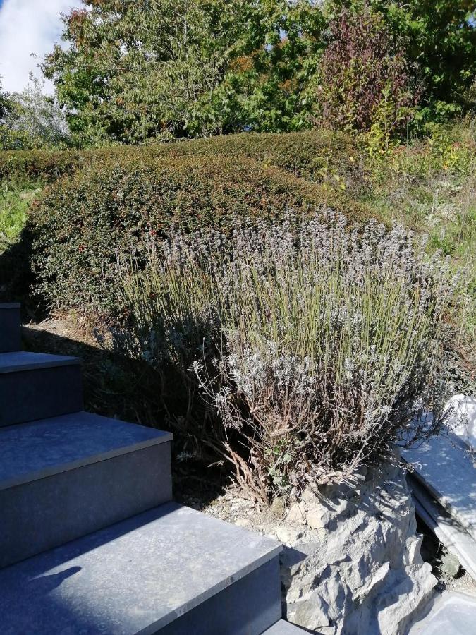 Tiny Stone Apartment Maredret Exterior photo